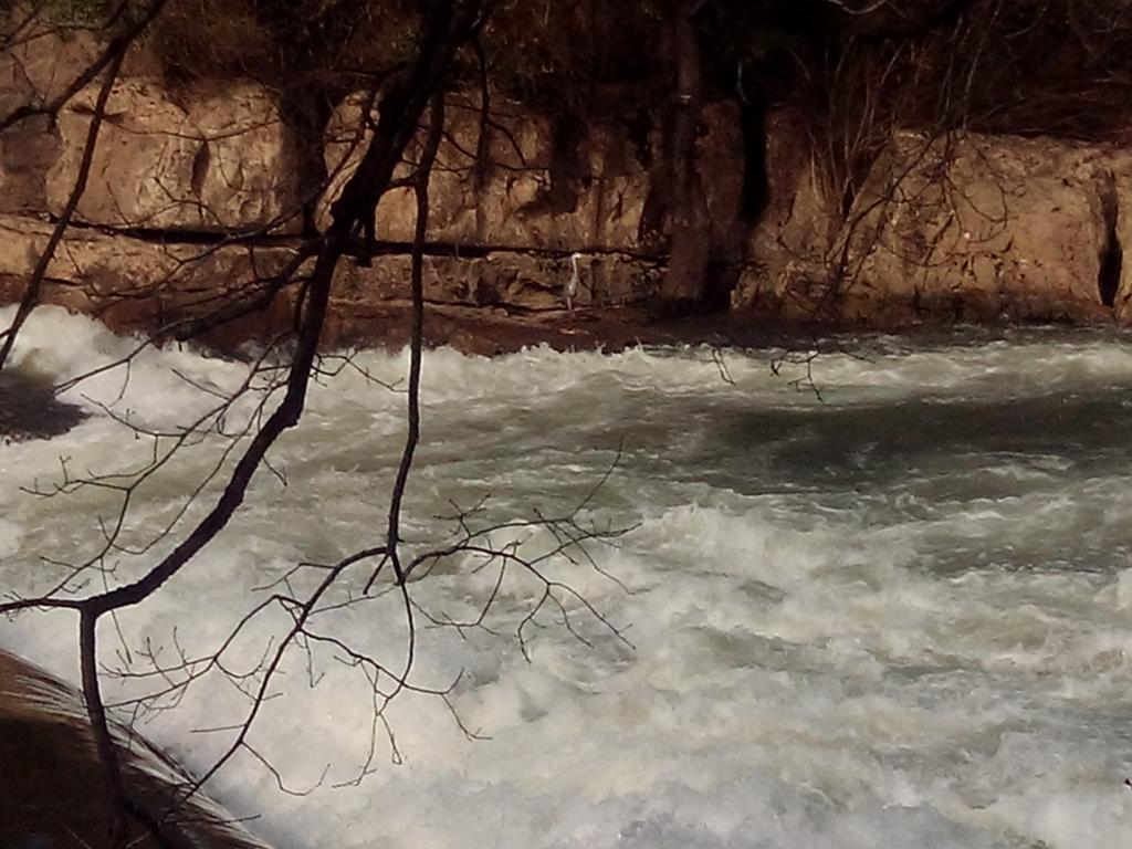 Posada La Cotia Helguera  Dış mekan fotoğraf